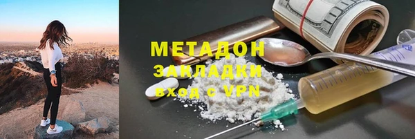 стаф Алзамай