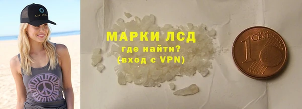 стаф Алзамай