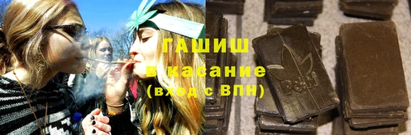 стаф Алзамай