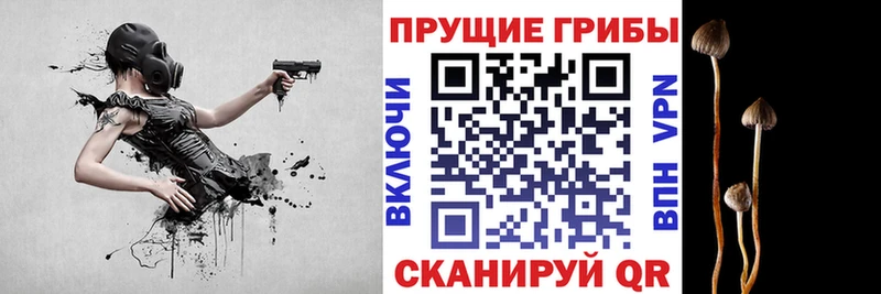 Галлюциногенные грибы Magic Shrooms  что такое наркотик  Солнечногорск 