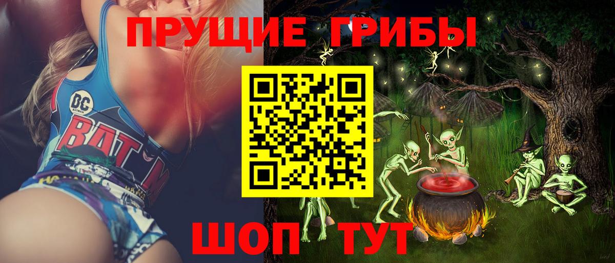 Галлюциногенные грибы Psilocybe Солнечногорск