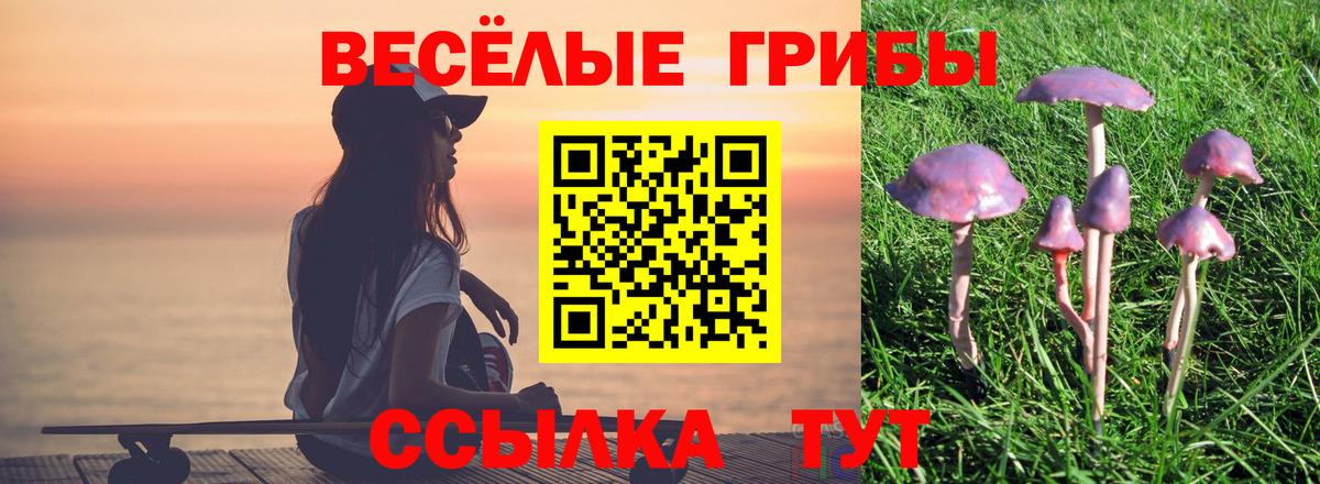 Солнечногорск  дарнет шоп  Вход с VPN  Галлюциногенные грибы MAGIC MUSHROOMS 